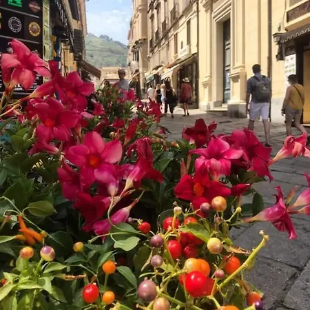 בית נופש Casetta Pinetamare