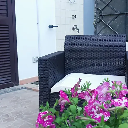 Holiday home Casetta Pinetamare *