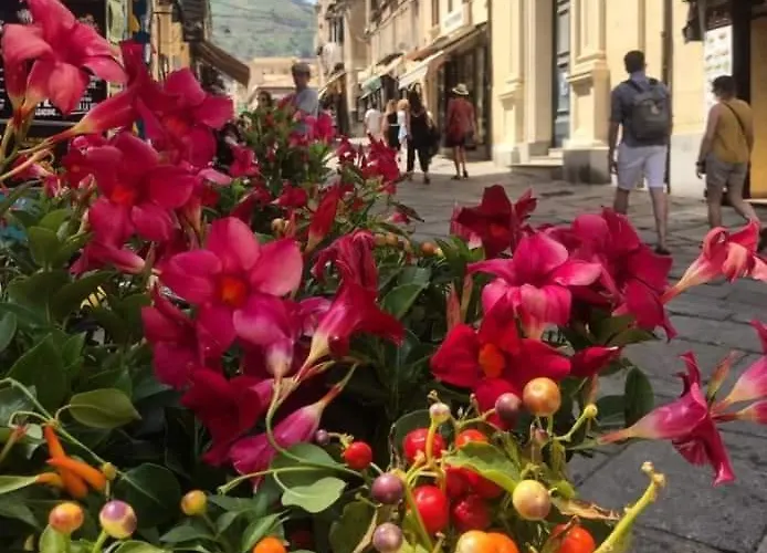 بيت للعطل Casetta Pinetamare